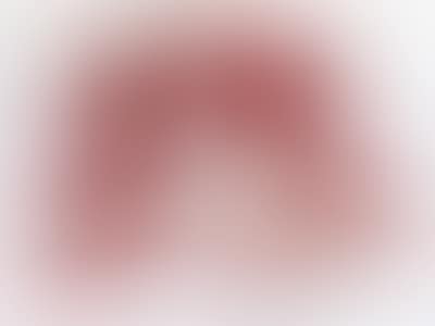 22 Besteckteile "Hildesheimer Rose" (preview)