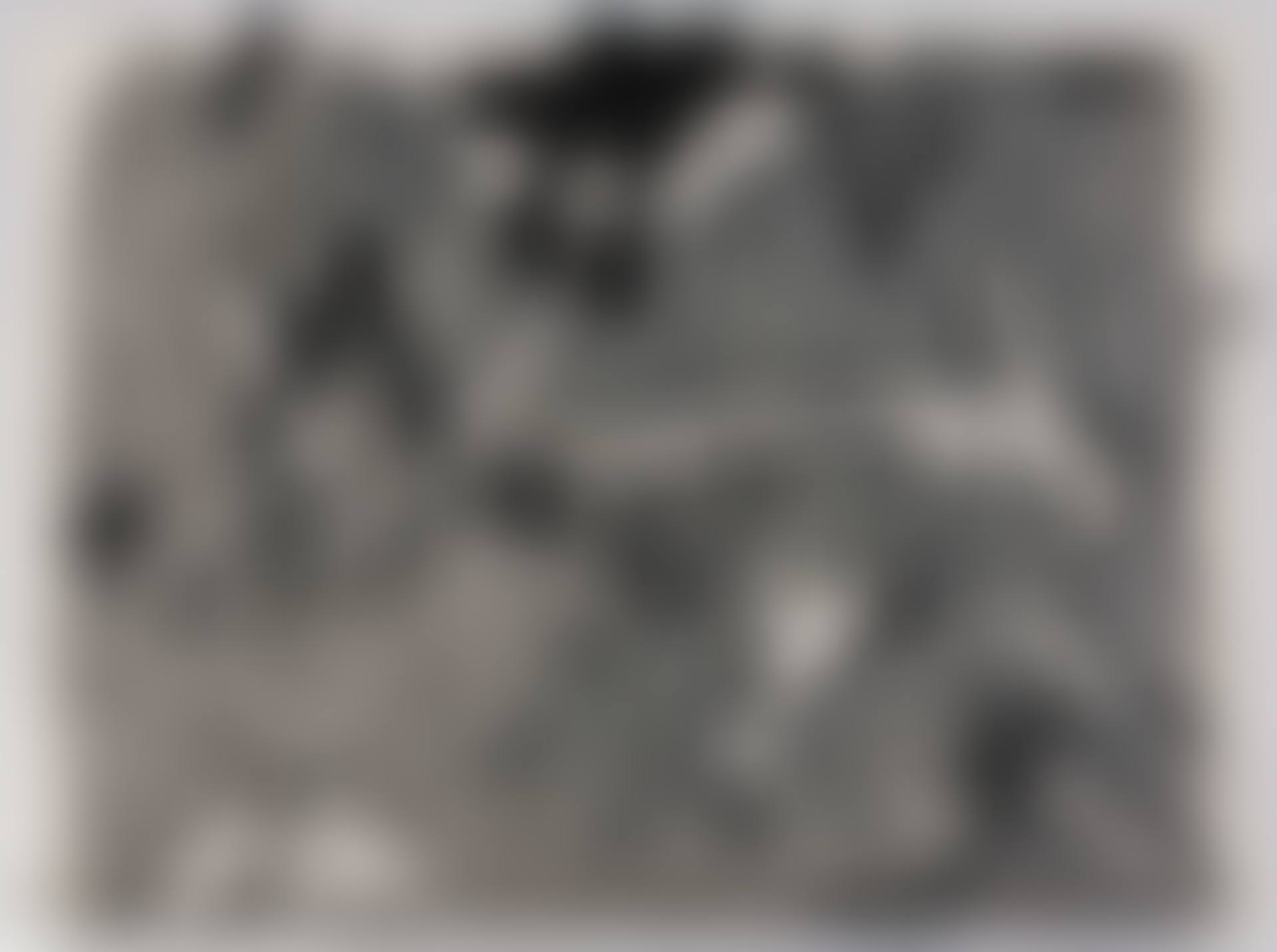 "Lletres i Gris"; "Lletres i Gris" (preview)