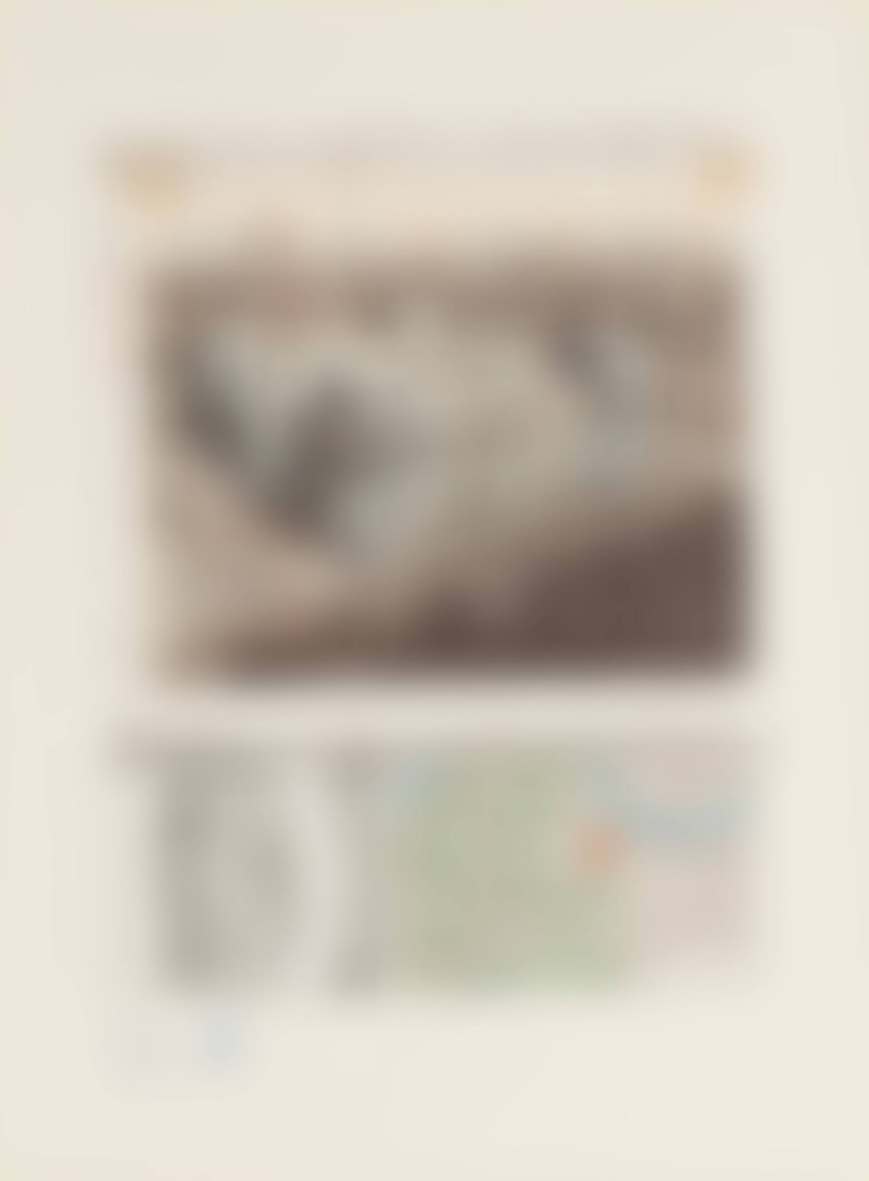 Reichstag Lithograph (preview)