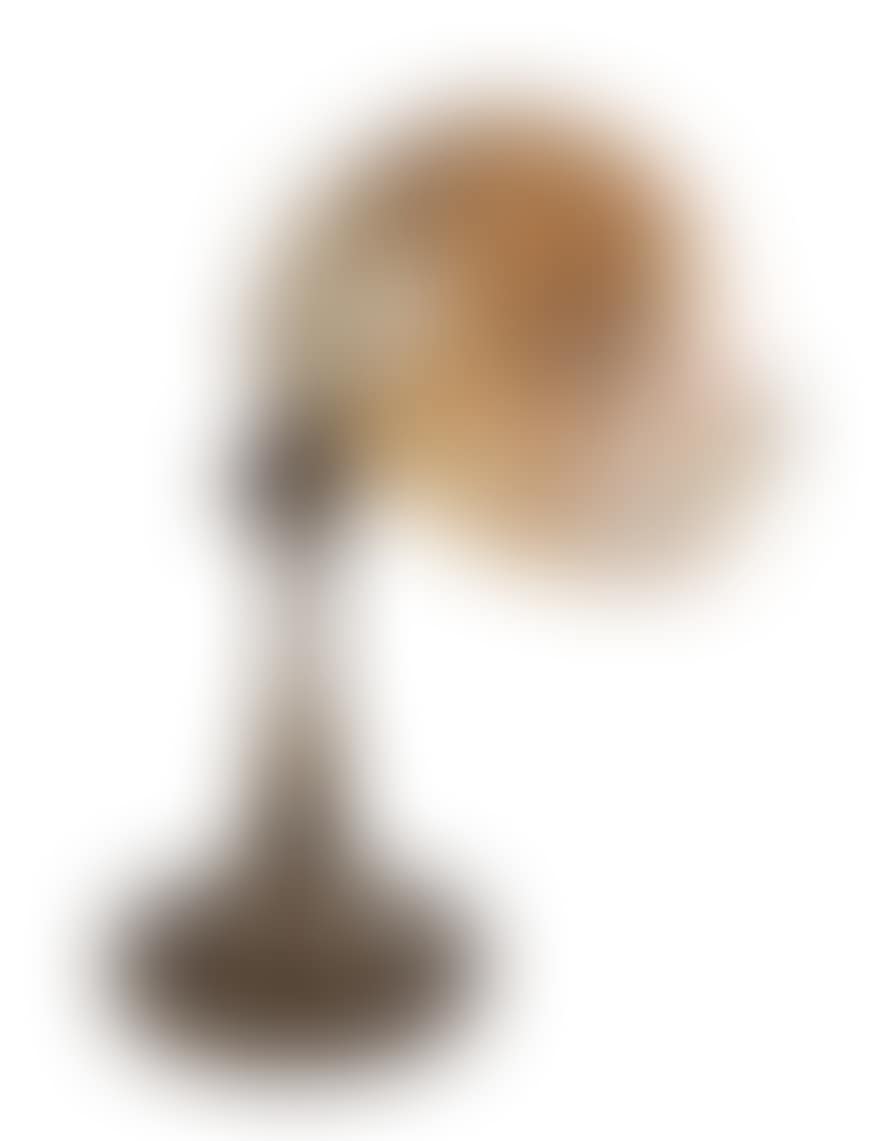 Nautilus Shell Desk Lamp (preview)