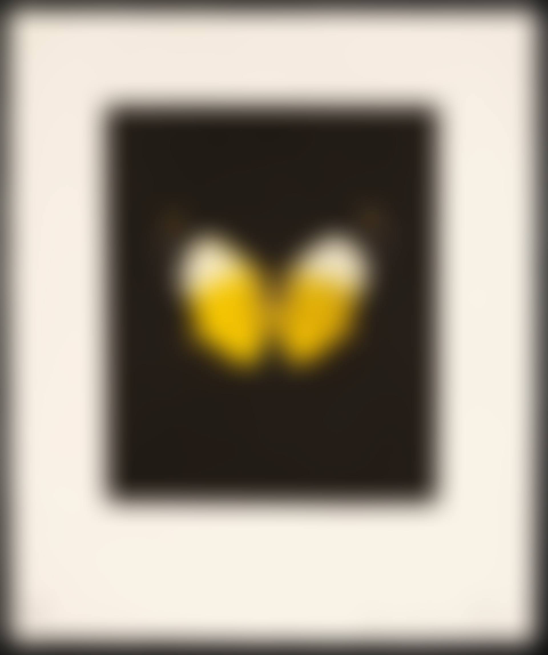 "Reveal" (preview)