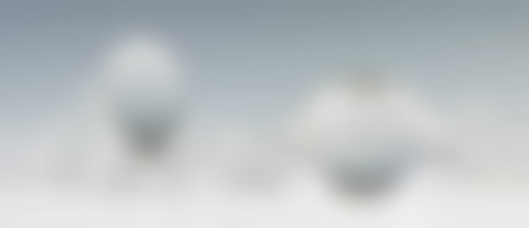 Steuben Crystal Octopus & Fish (preview)