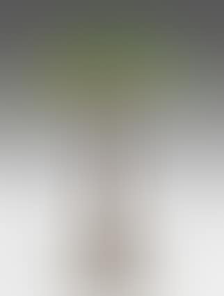 Lamp (preview)