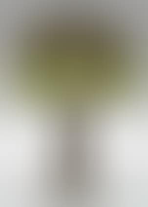 Lamp (preview)