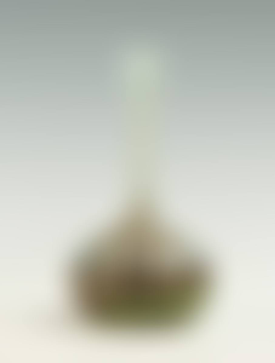 Cameo Vase with Landscape and Mountains (preview)