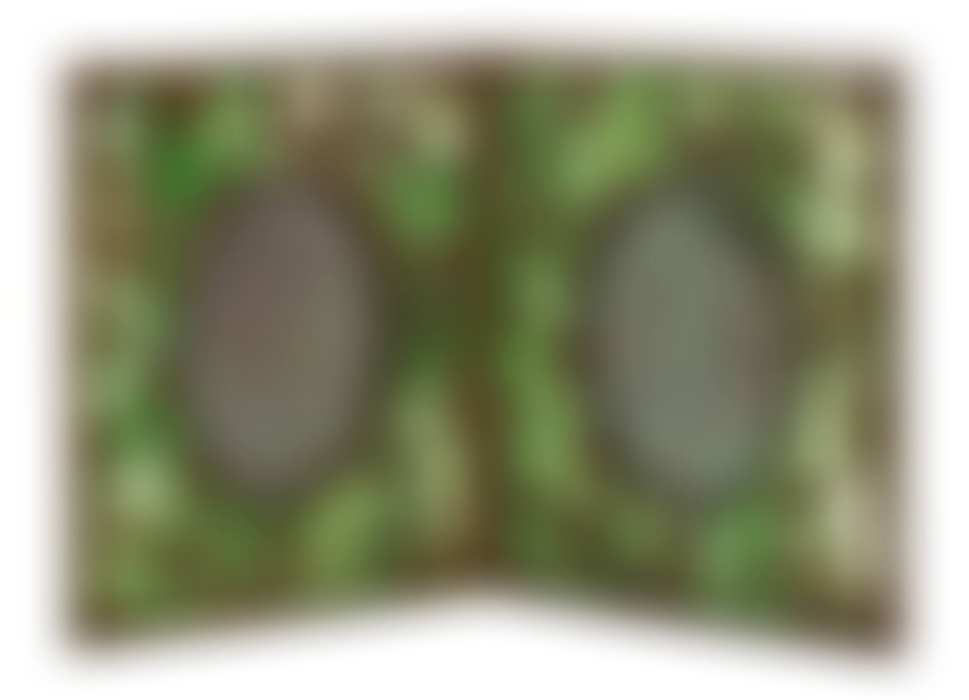 Double Picture Frame (preview)