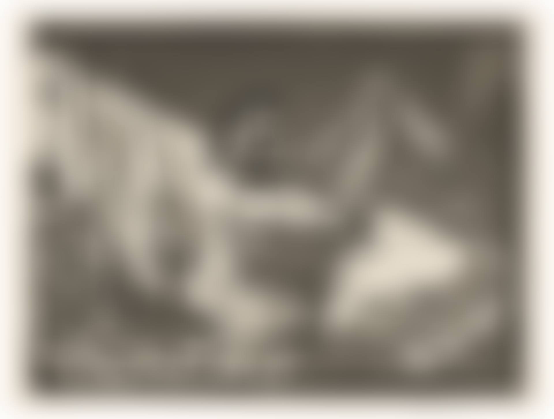Faune dévoillant une femme, from: La Suite Vollard (preview)