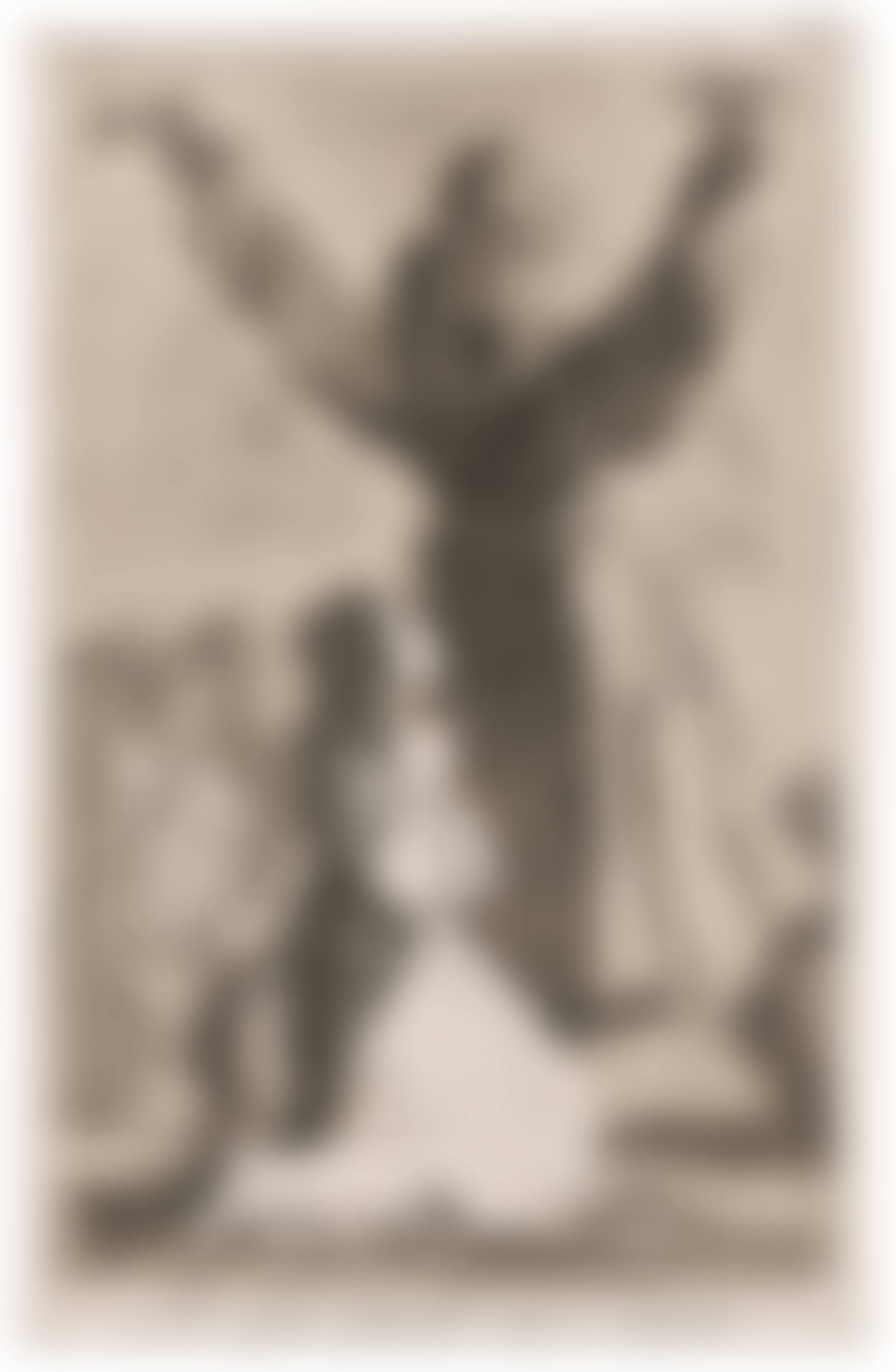 Lo que puede un sastre, plate 52 from: Los Caprichos (preview)