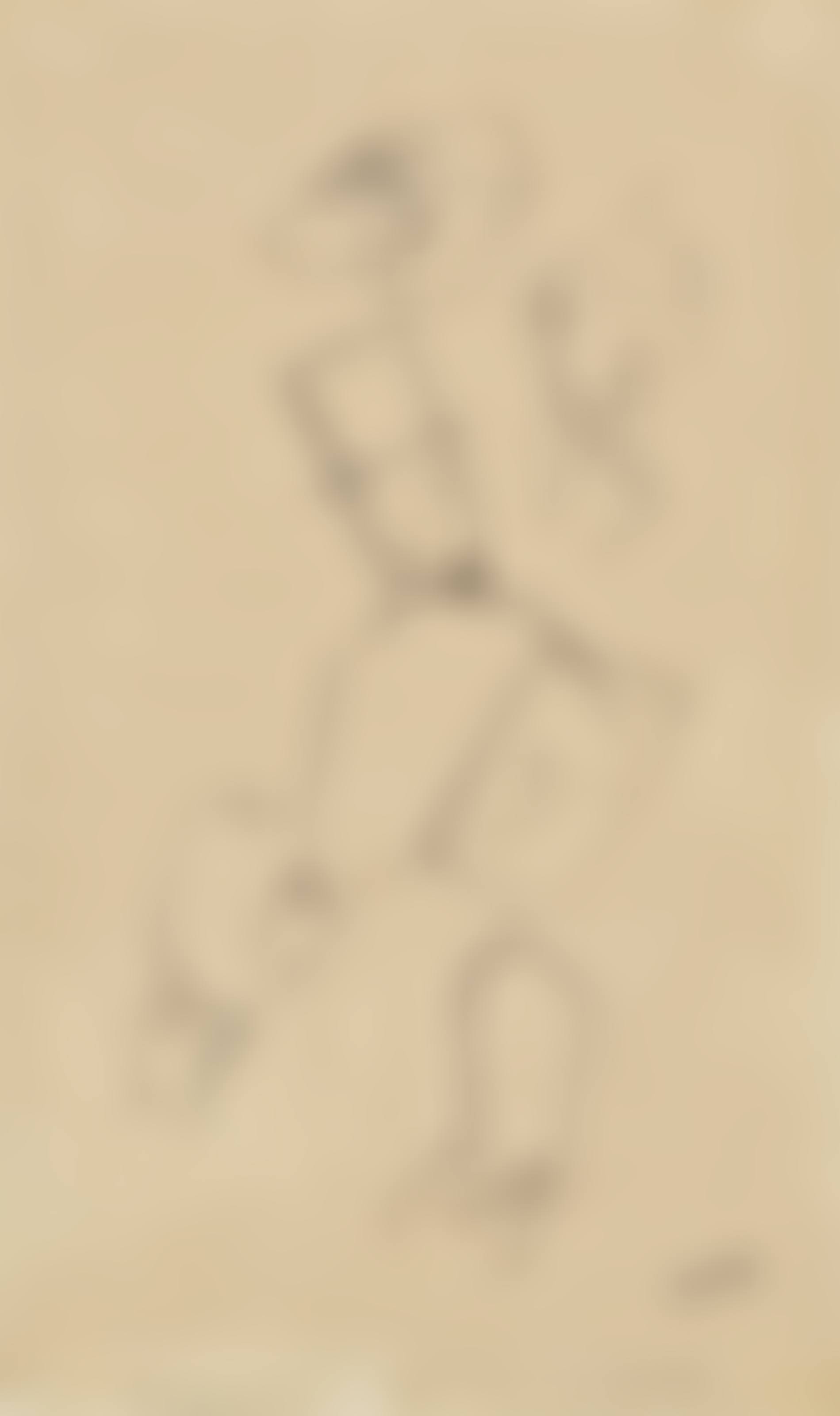 Der Zauberer (Herz-Ass) (preview)