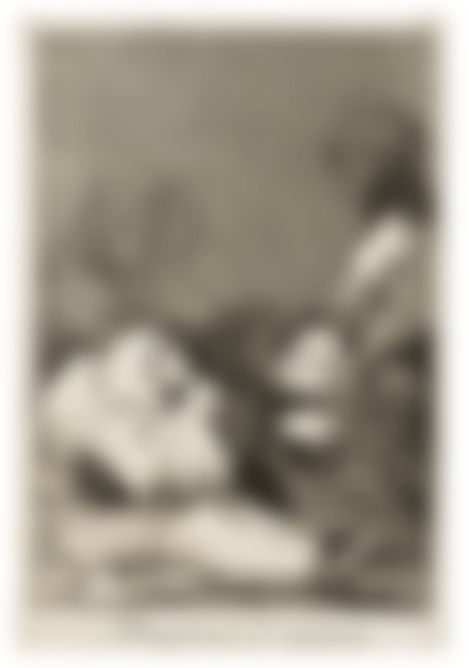 Obsequio á el maestro, plate 47 from: Los Caprichos (preview)