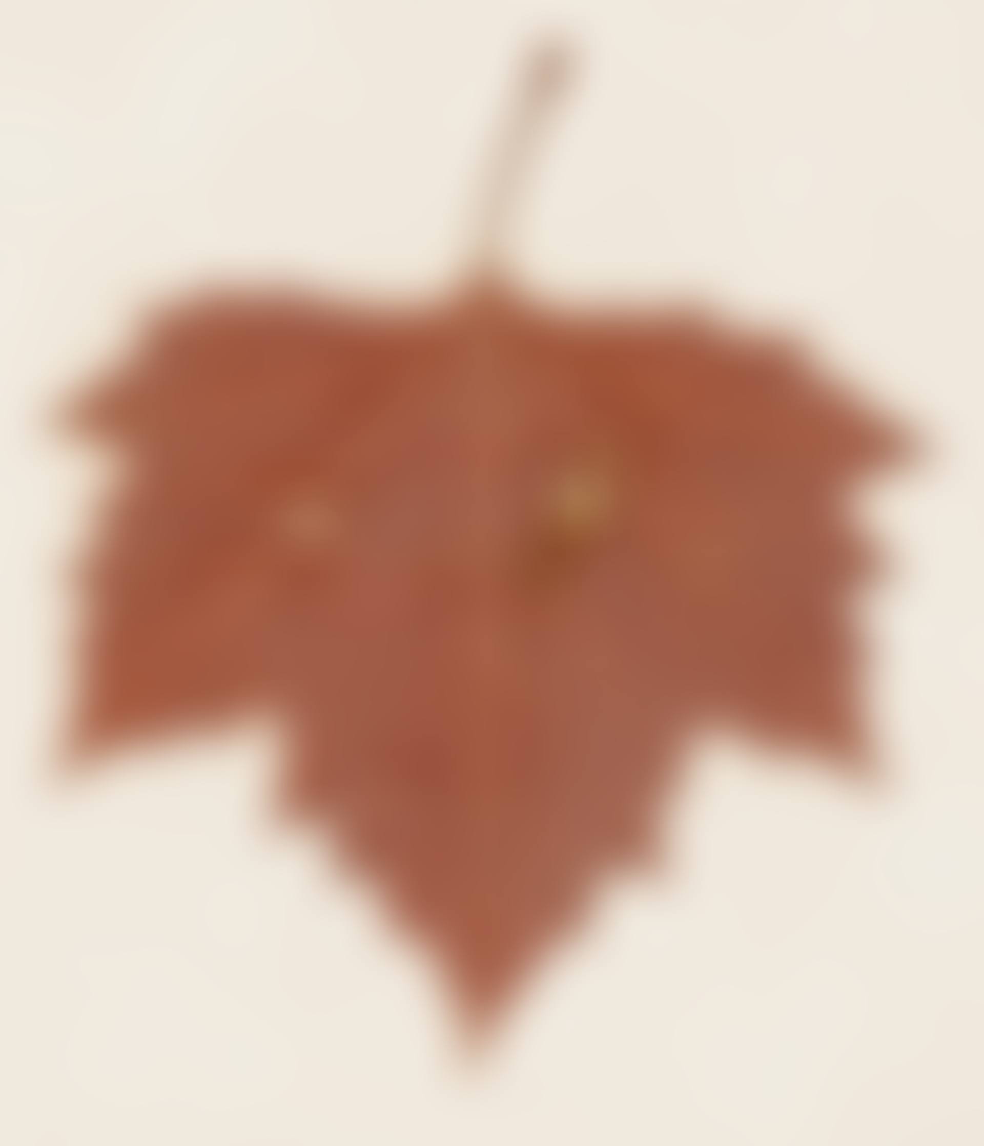 Waterdrop (preview)