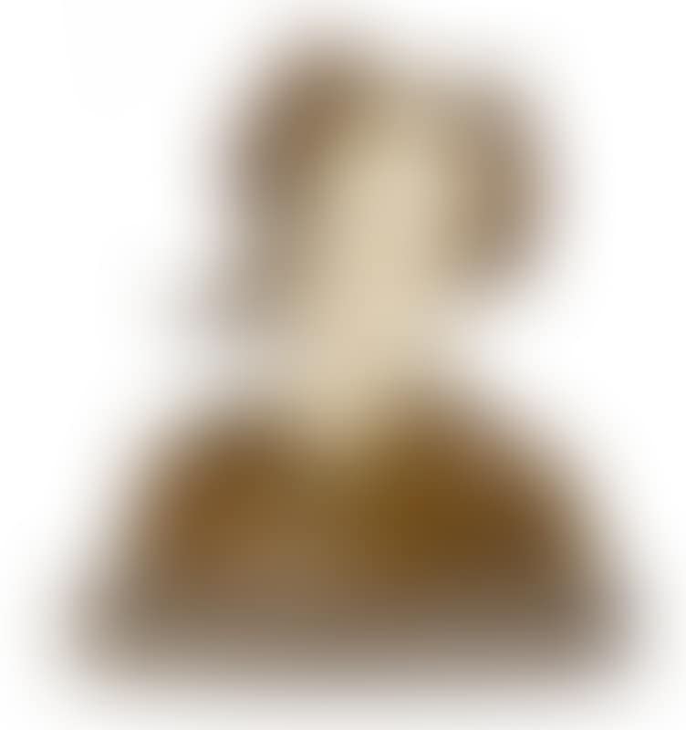 An alabaster and bronze bust of a young woman (preview)