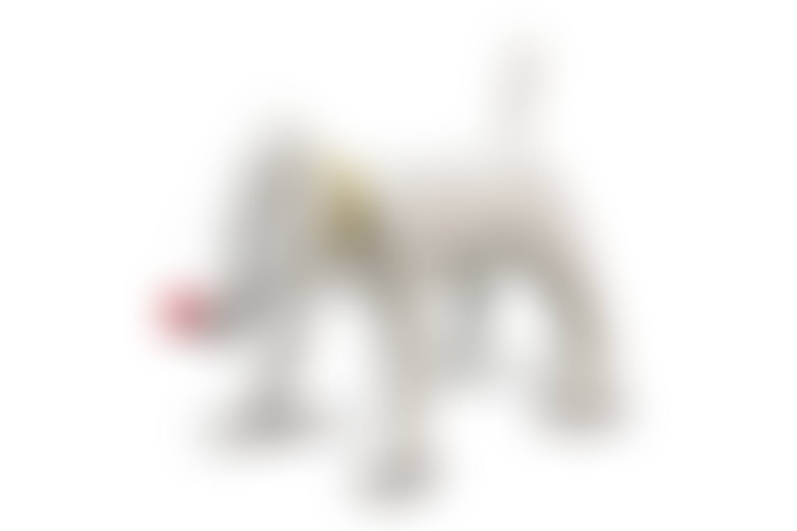 Doggy Radio (preview)