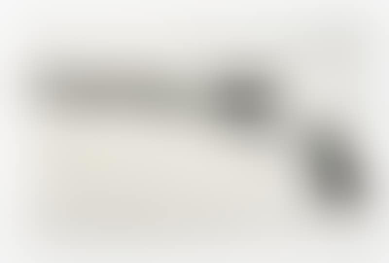 Gun (Remington Model 1858) (preview)