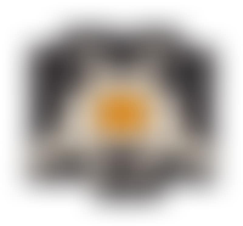 PA_309 (preview)