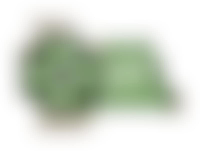 PA_1157 (preview)