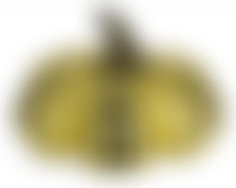 Pumpkin (preview)