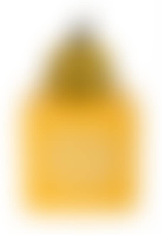Pumpkin (yellow) (preview)