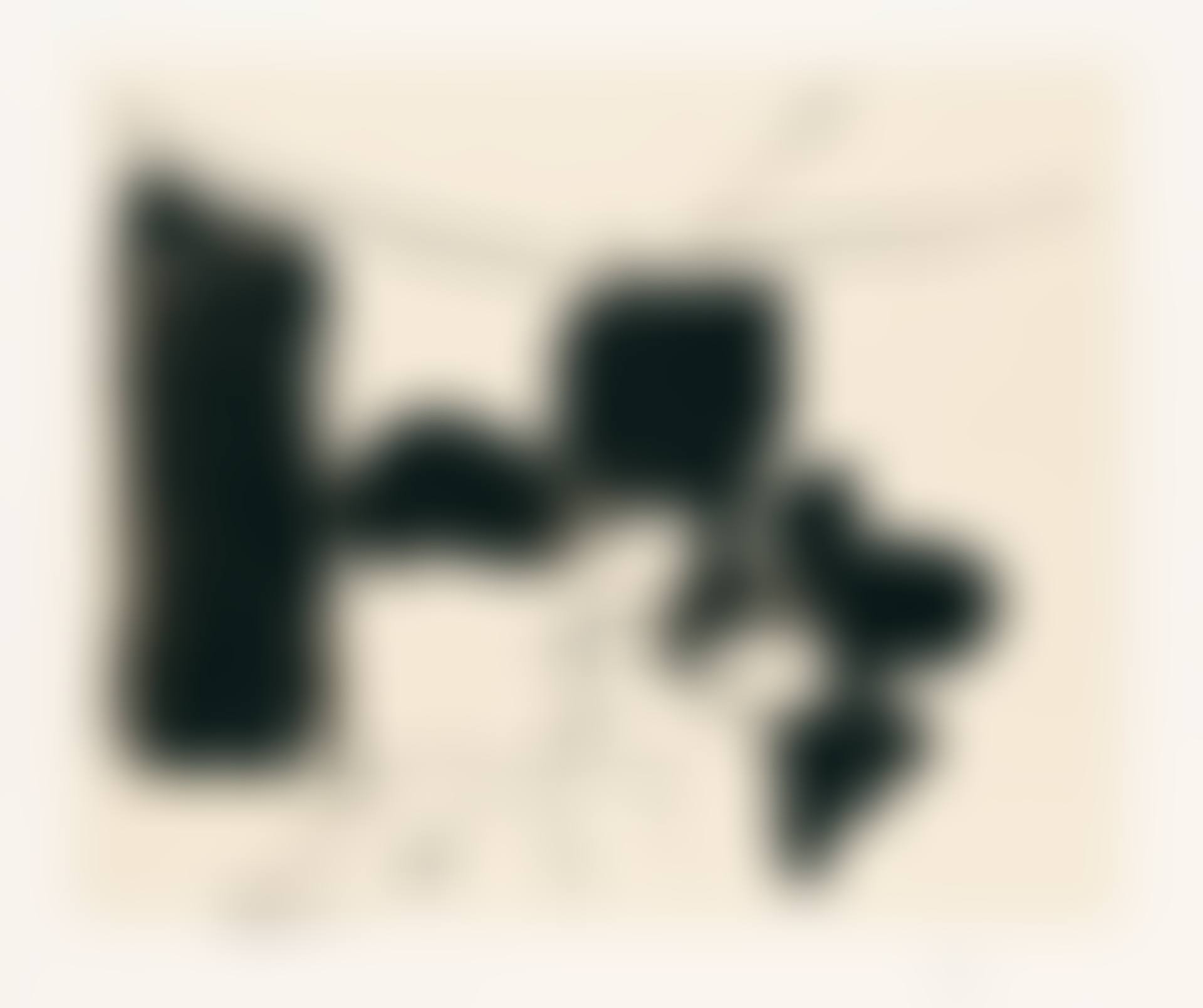 The Paris Review  (preview)