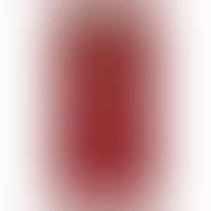 Work 1 (preview)