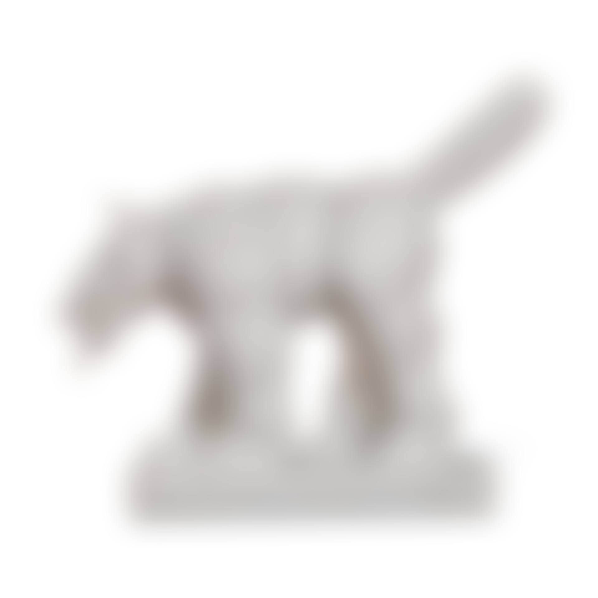 Perro (preview)