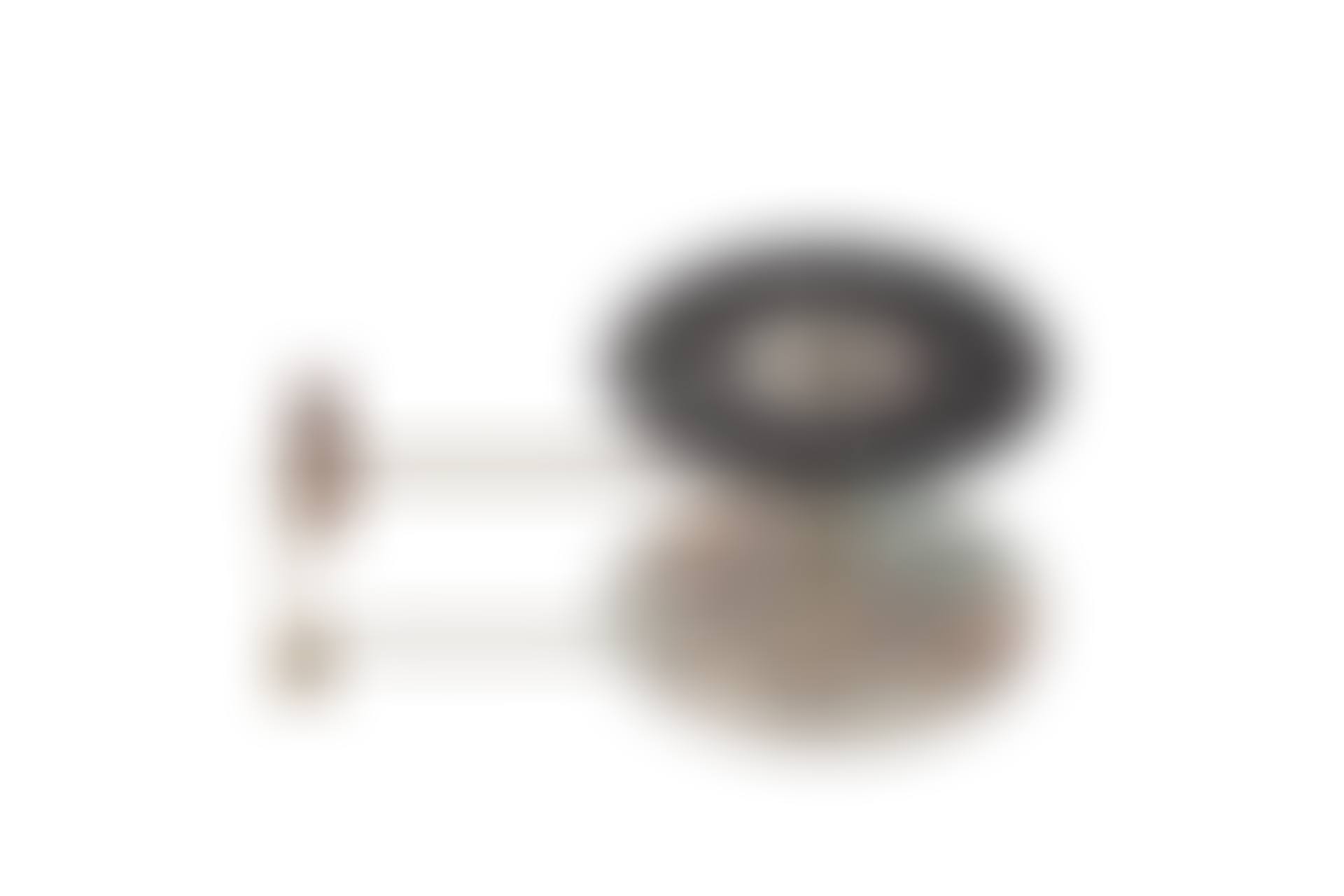Phenakistoscope (preview)