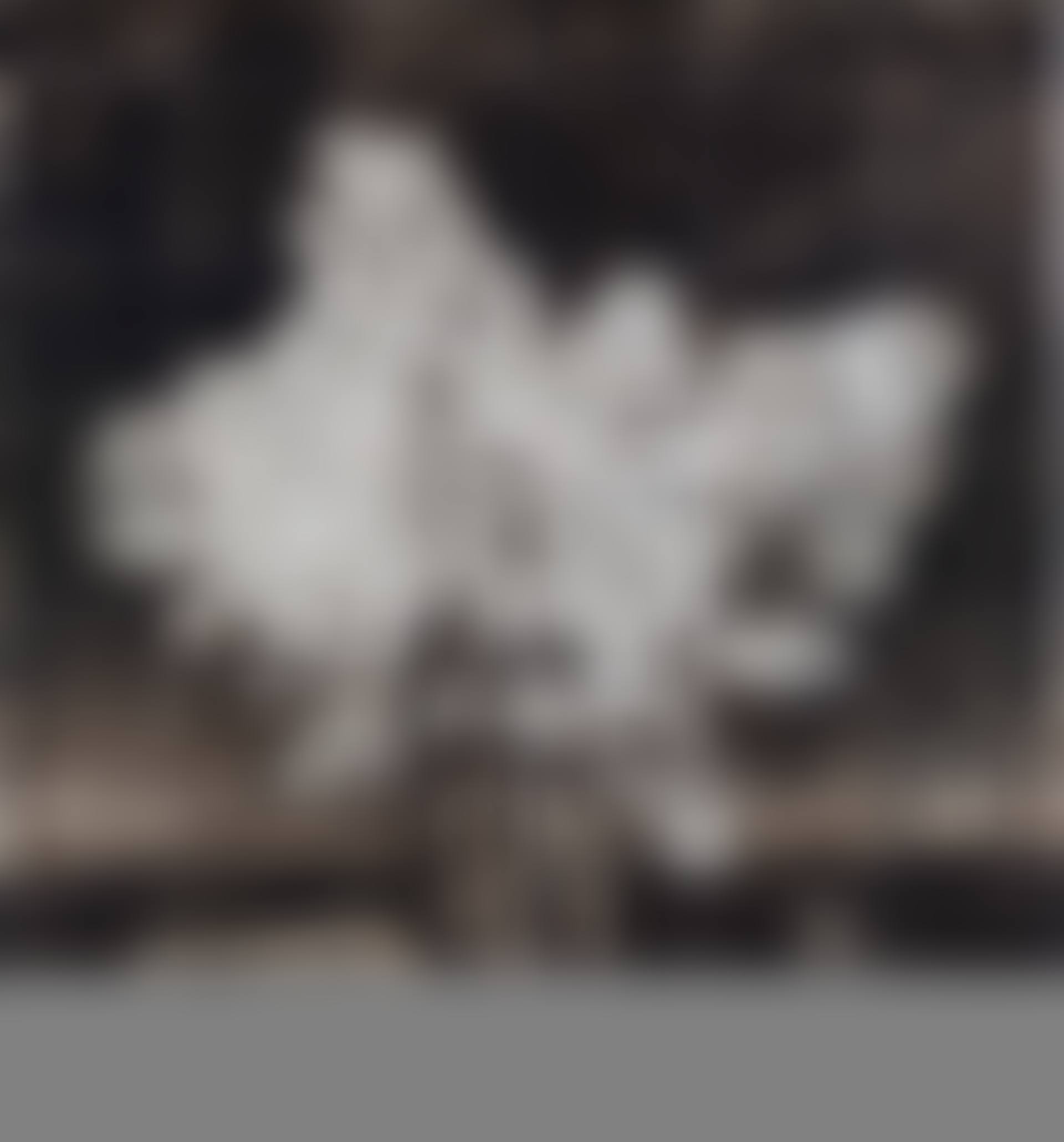Hyacinths (Wait Once Again for Better People) (preview)