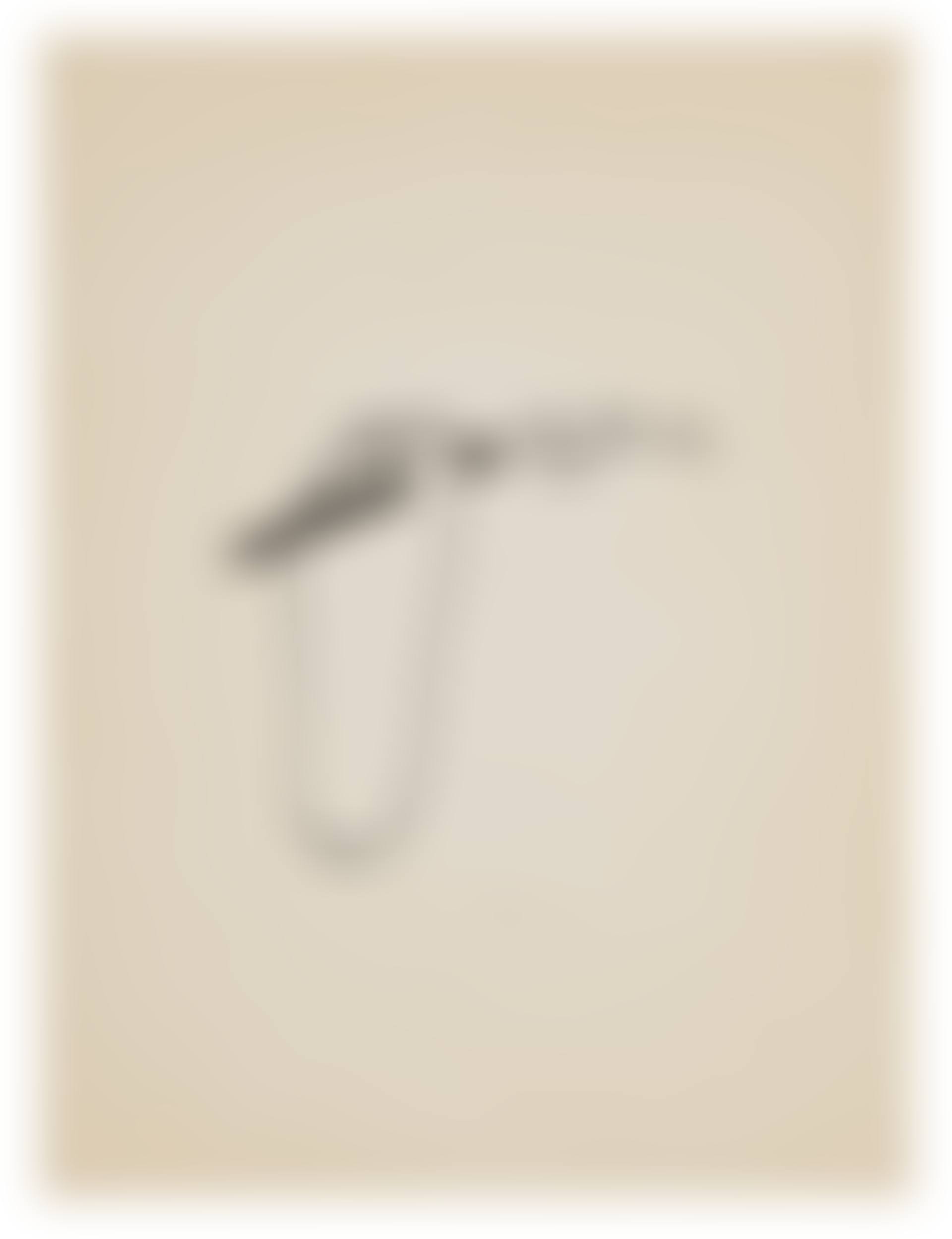 Foot (preview)