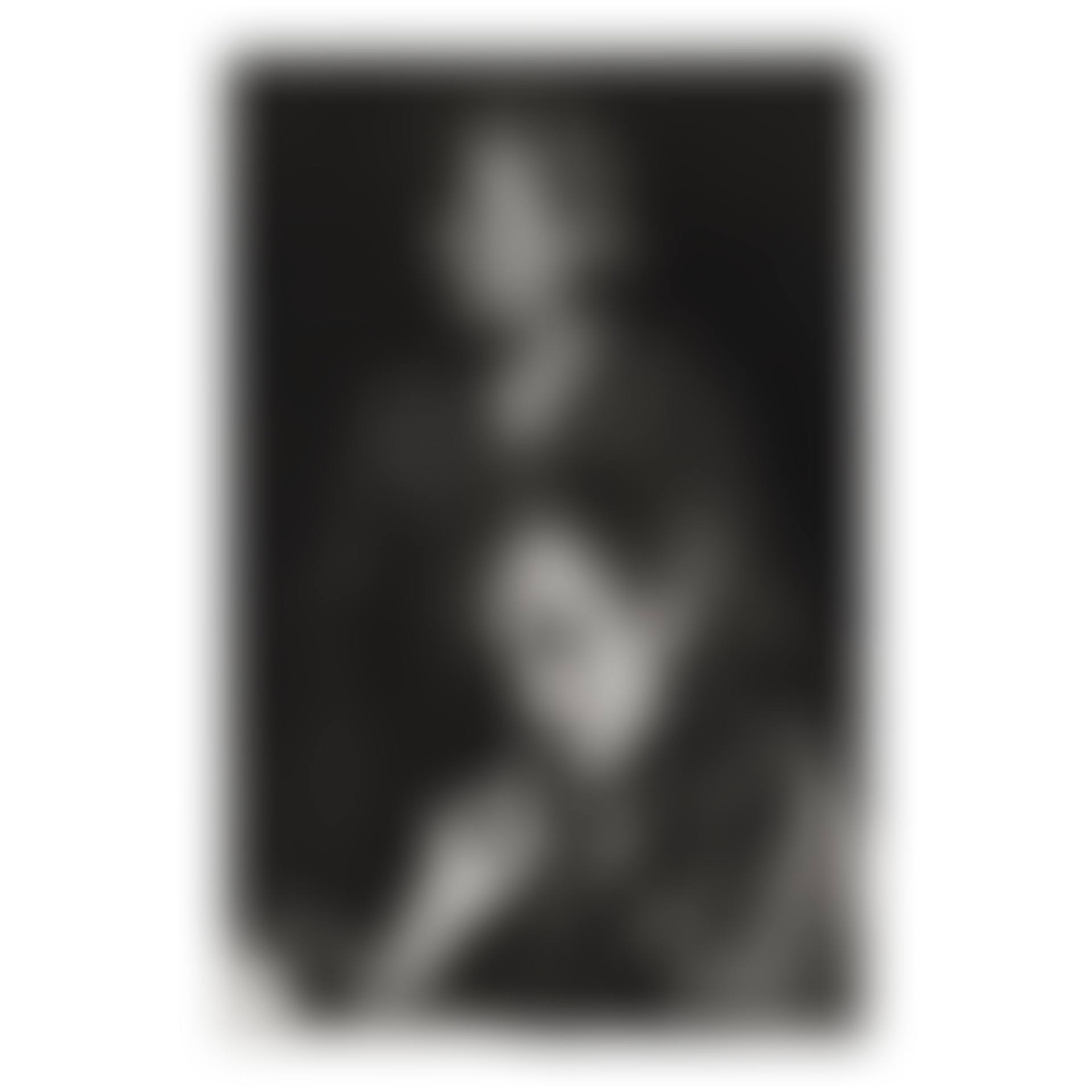 Colette and her Companion Pauline, Paris (preview)
