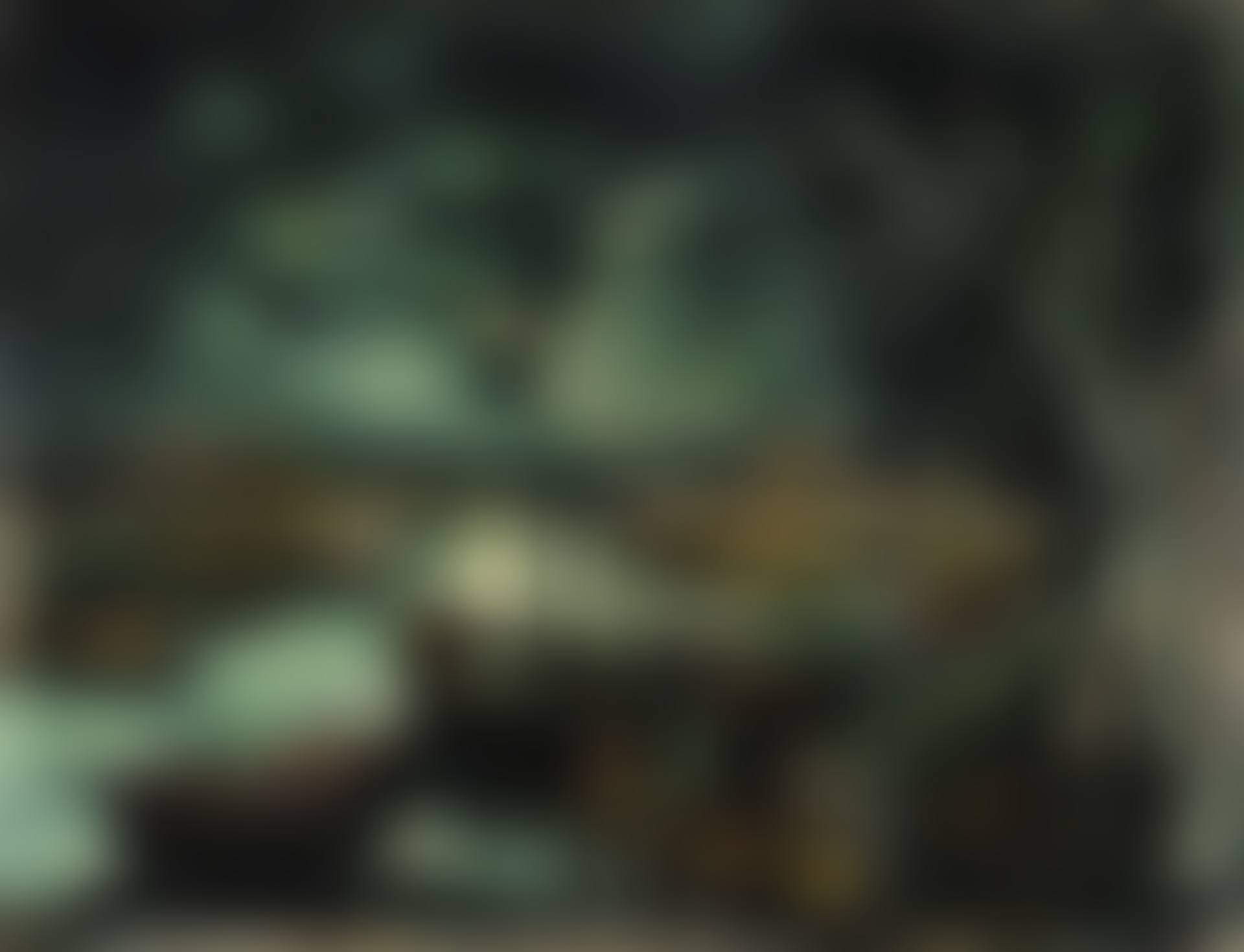 Le Rhin (preview)