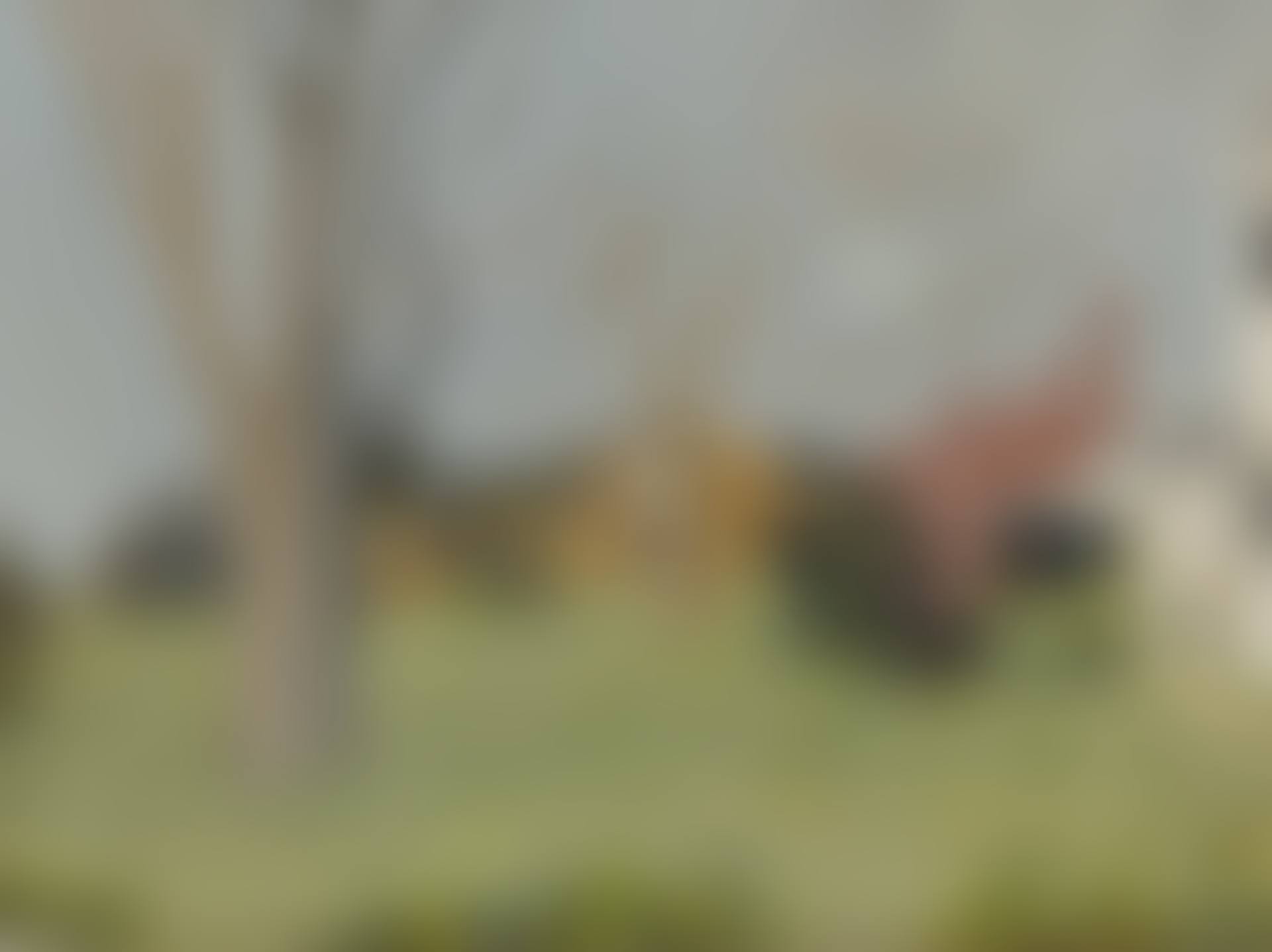 Two Trees (preview)