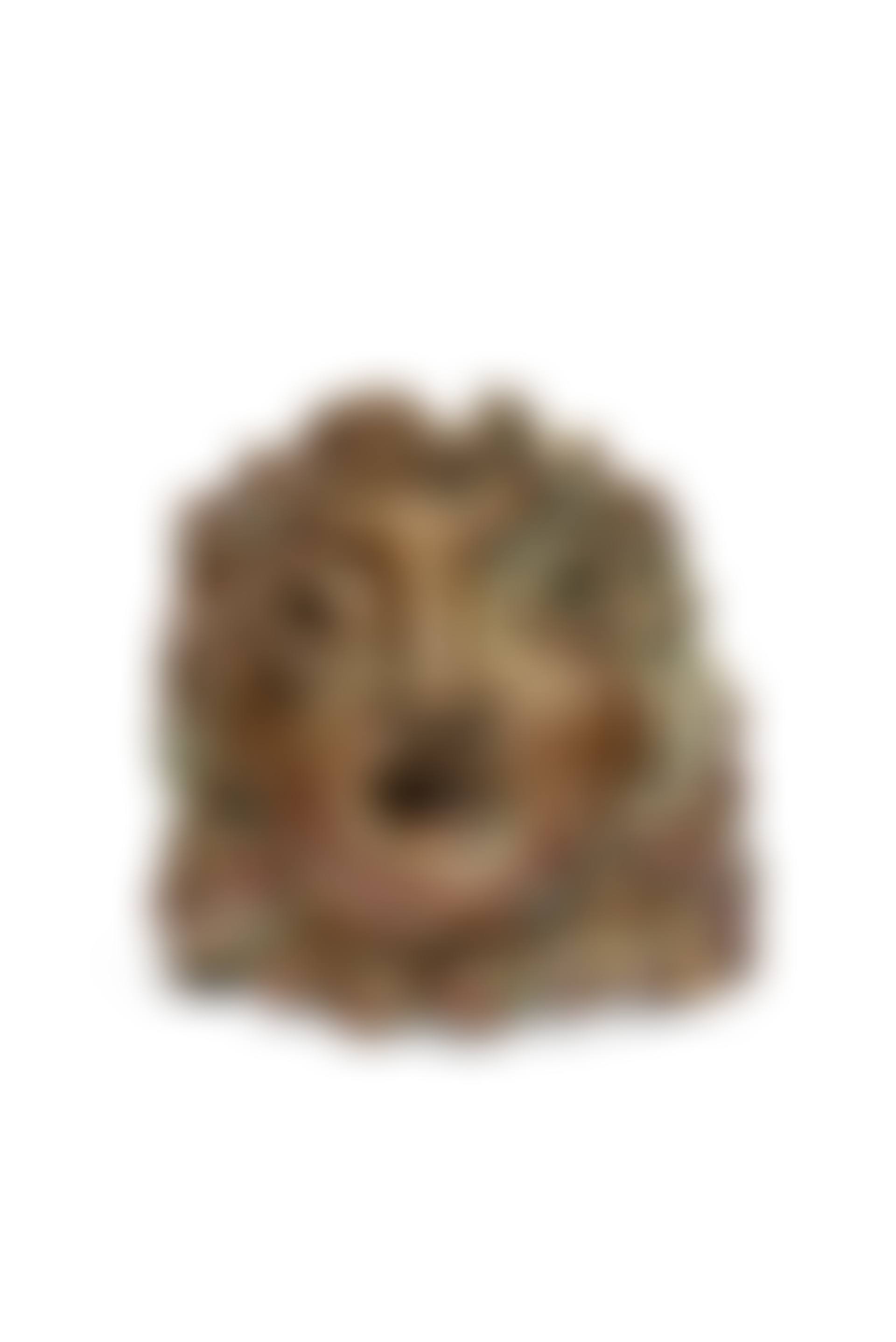Femme aux boucles d"oreilles et au collier de perles (Woman with earrings and pearl necklace) (preview)