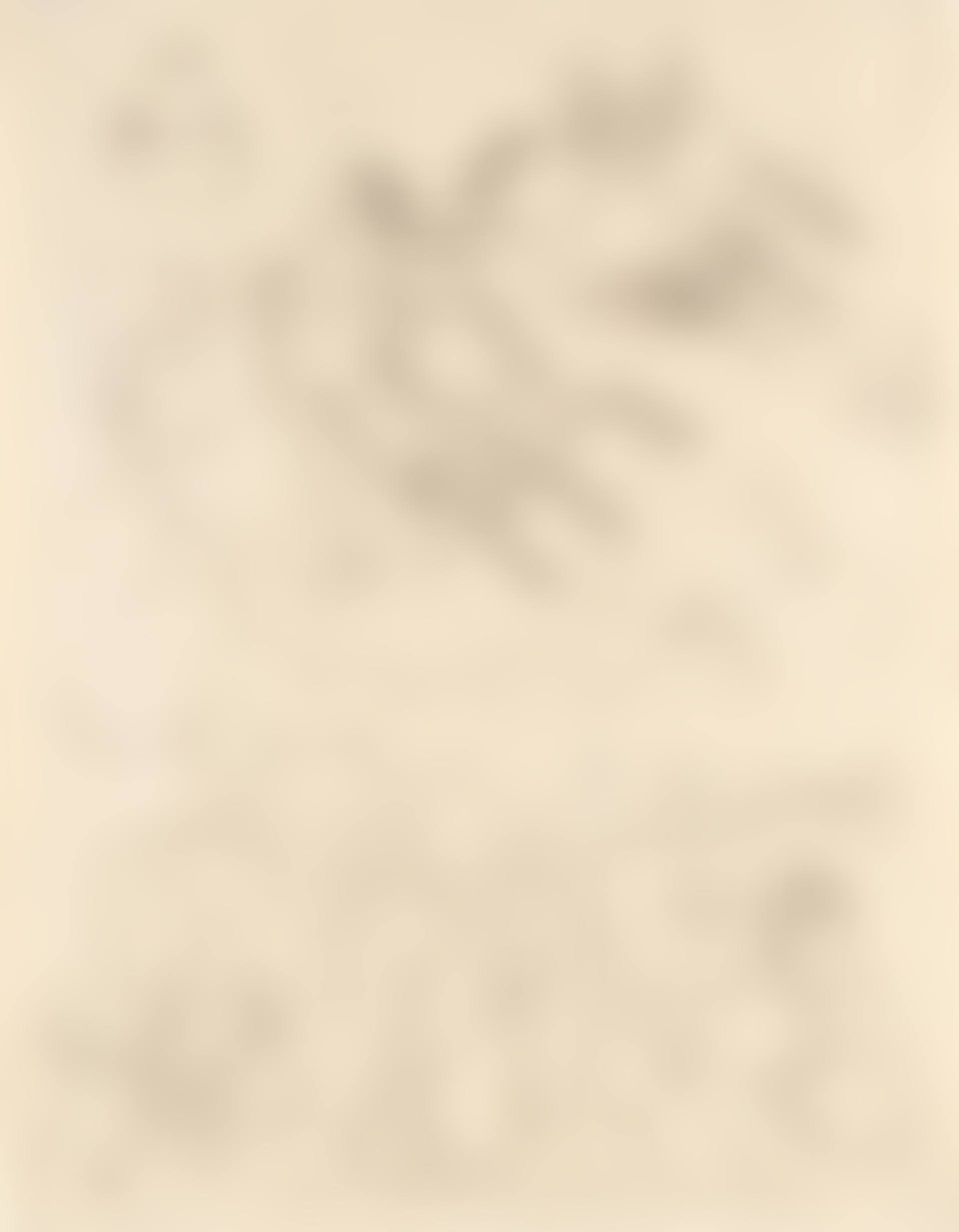 recto: Höhenflug (Sie sind Minister nun)(Soaring (You are a Minister now)); verso: Früchtestillleben (Fruit Still Life) (preview)