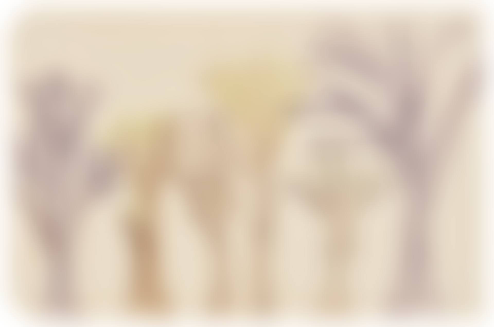 Trees (preview)