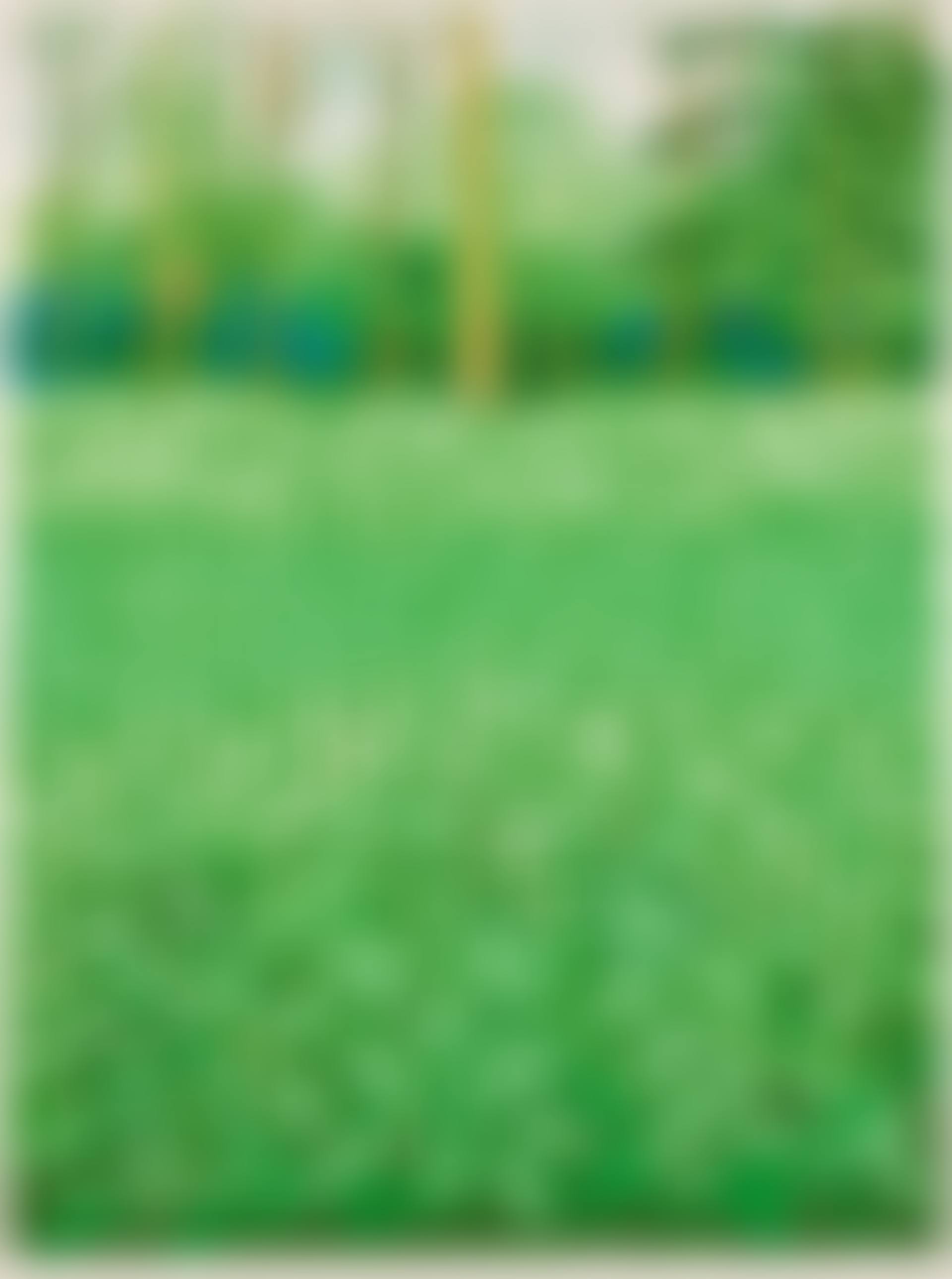 The Arrival of Spring in Woldgate, East Yorkshire in 2011 (twenty eleven) - 6 May (preview)