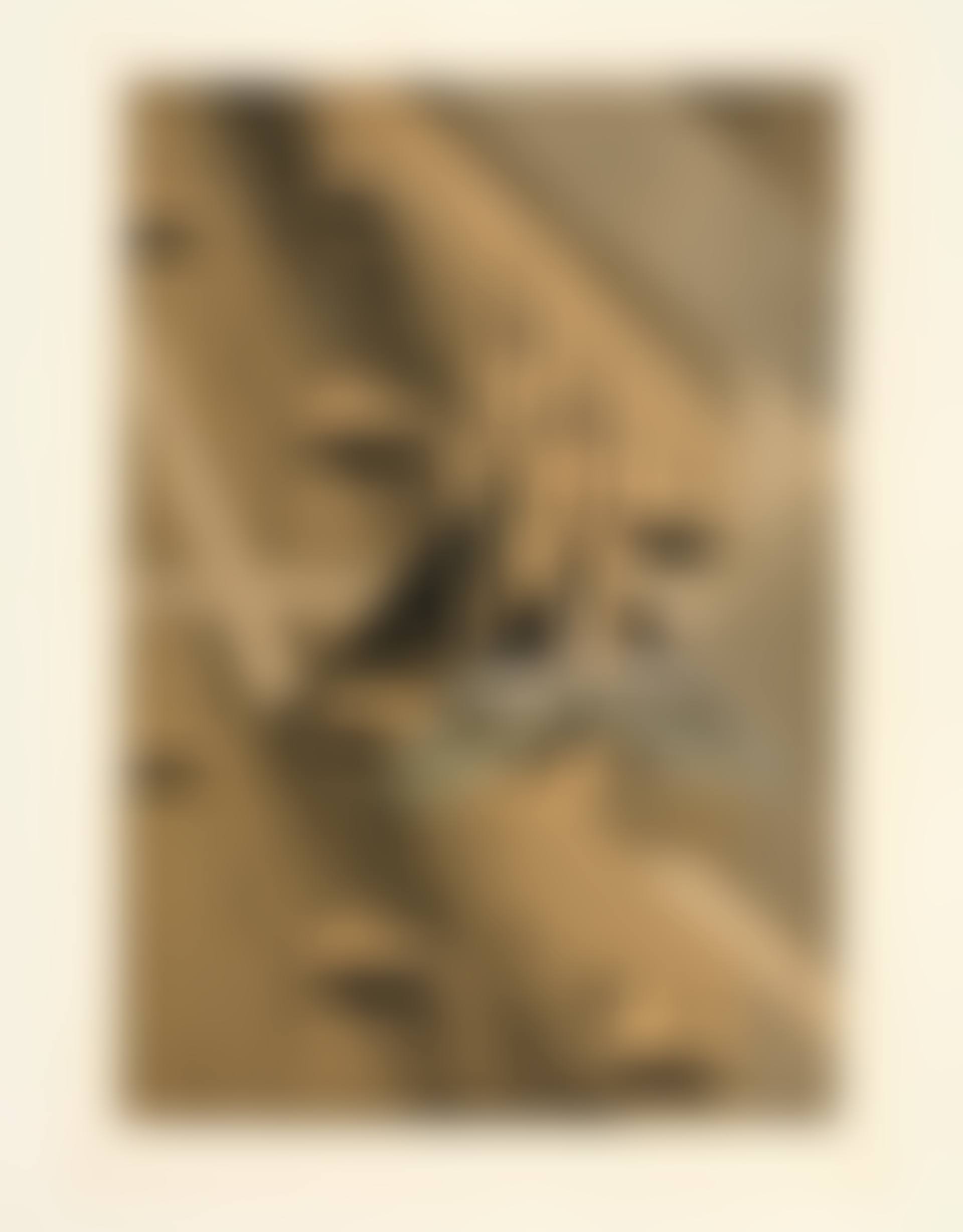Fliegen - fliegen (preview)