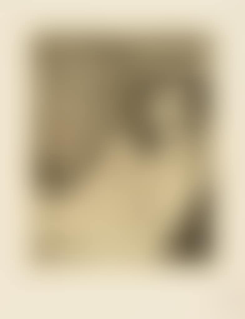 Picture of a Lady (preview)
