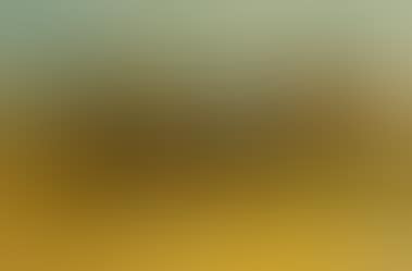 On the desert I. (preview)
