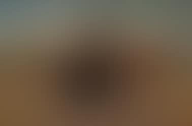 On the desert II. (preview)