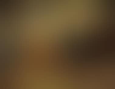 Moring corn (preview)