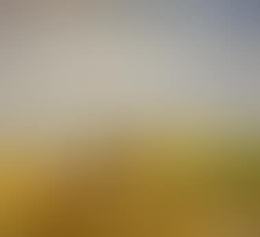 In the harvest (preview)