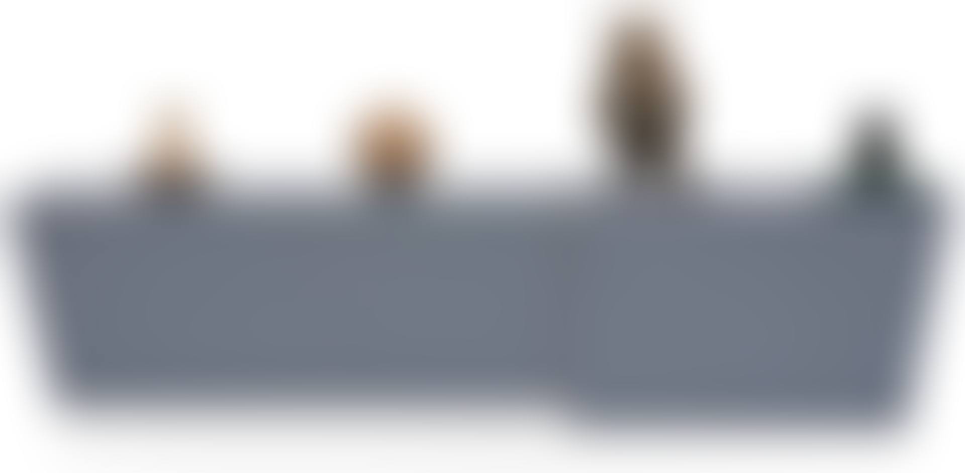 burnished chestnut (preview)