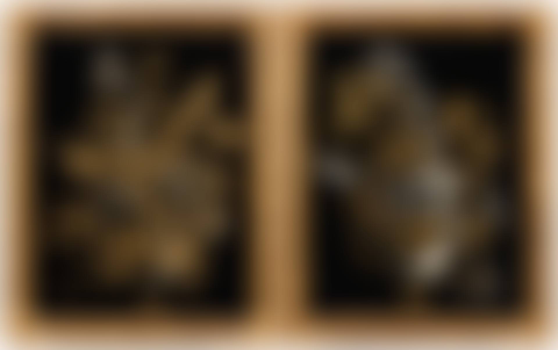 Paire de panneaux (preview)