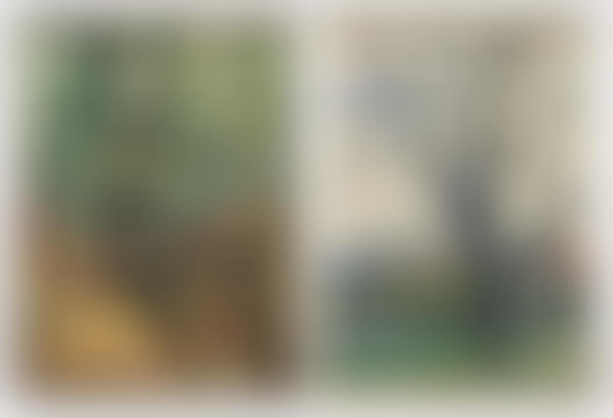 Two landscapes (preview)