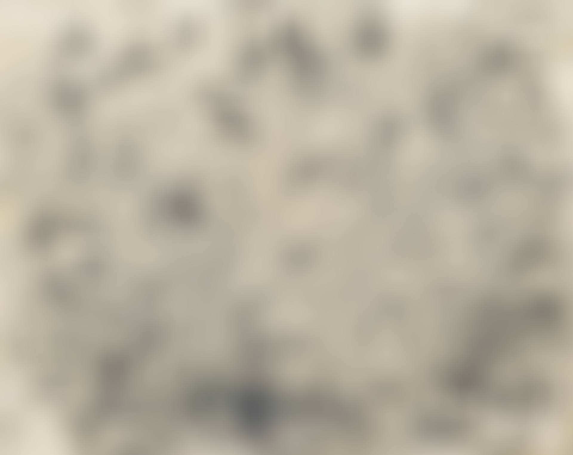 With Winds (preview)