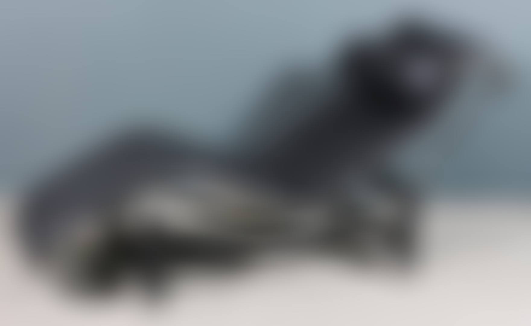 LC4 adjustable chaise lounge (preview)