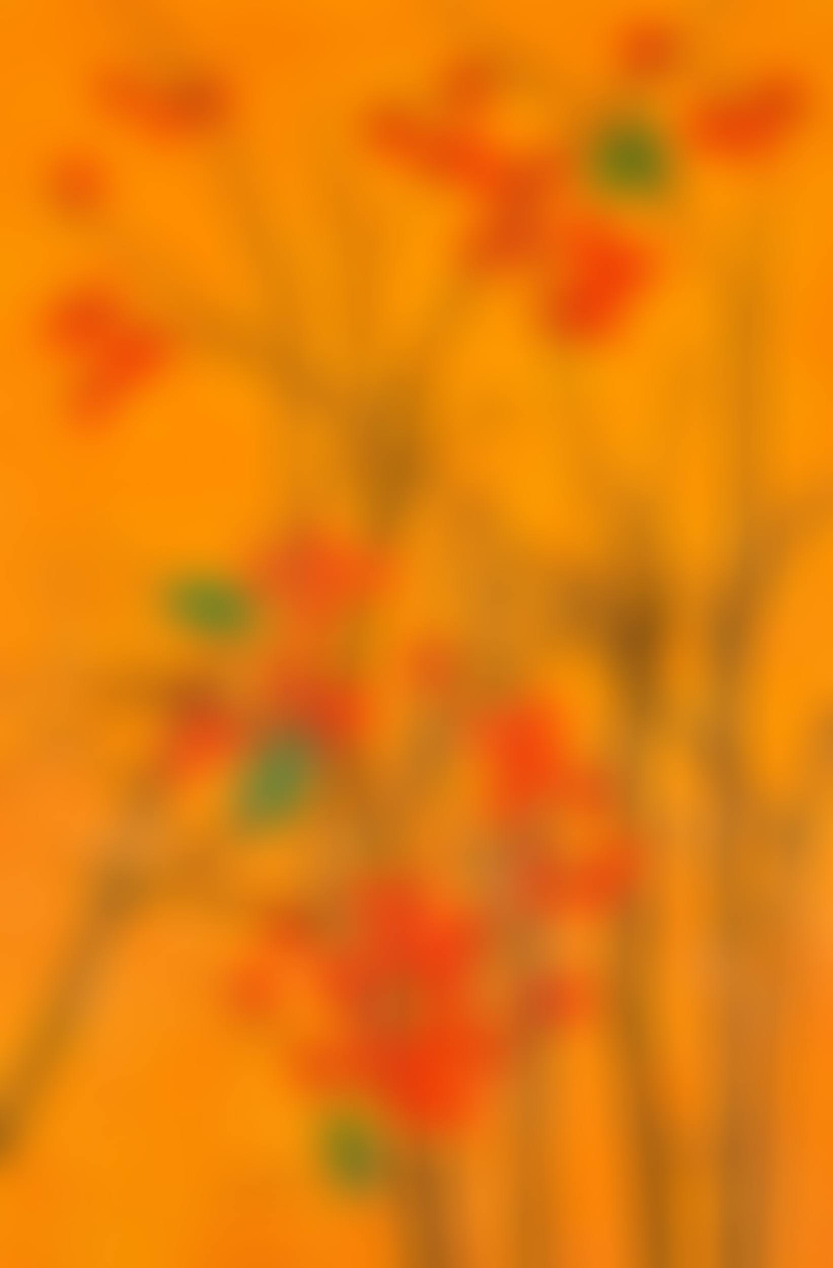 Persimmons (preview)