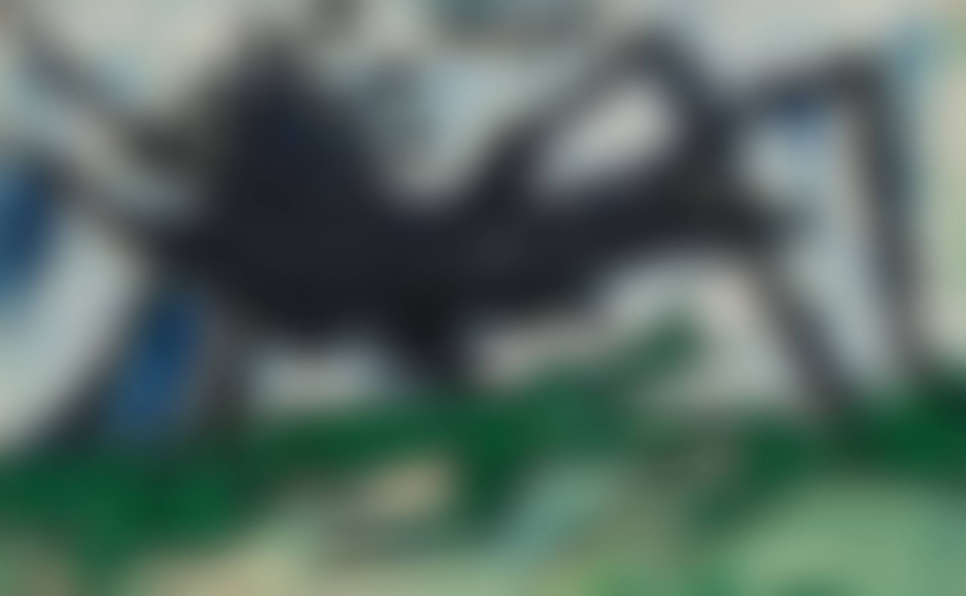 Untitled (Spider) (preview)