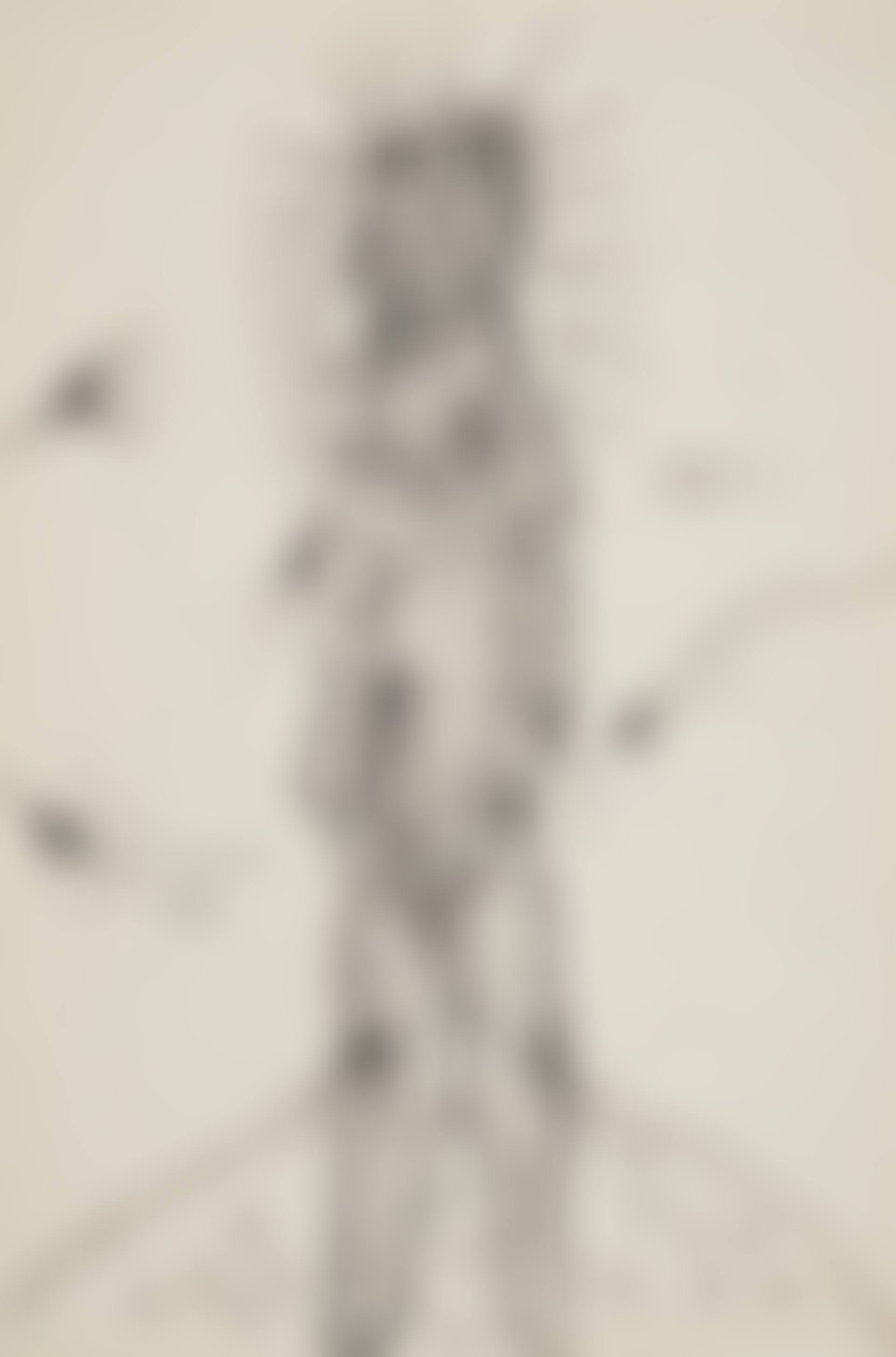 Untitled (Resurrected Christ) (preview)