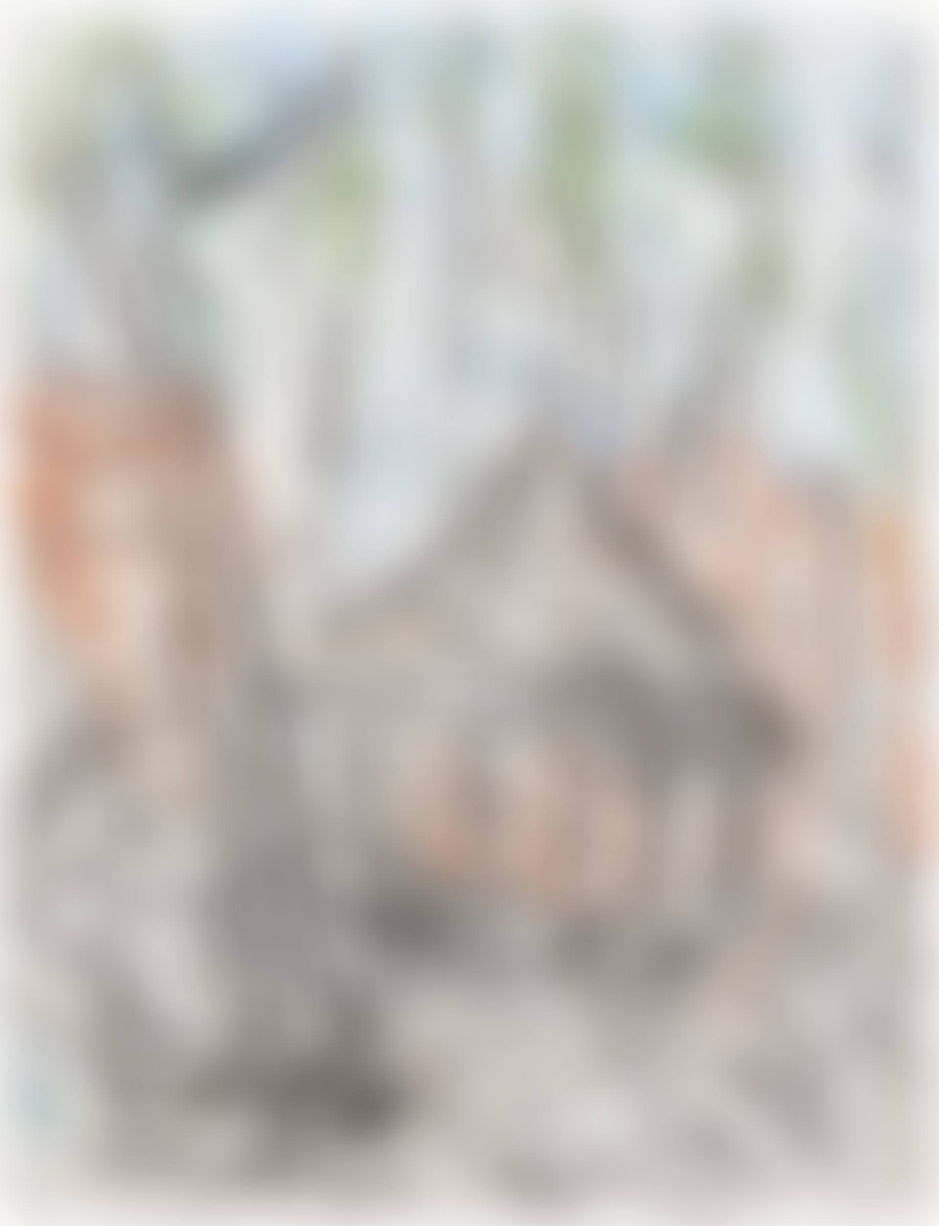 Arnold Circus (preview)